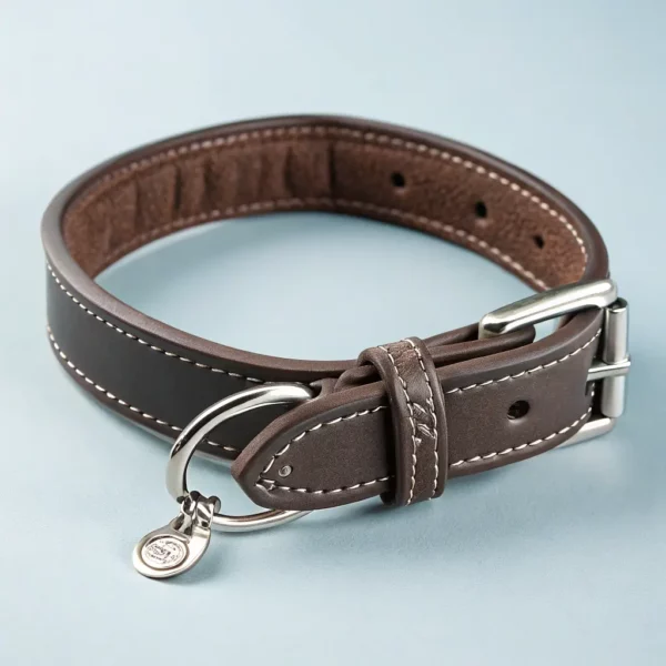 Adjustable Leather Collar for Small Dogs